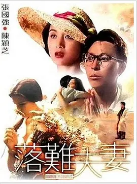 猫咪网站最新地域网名怎么取