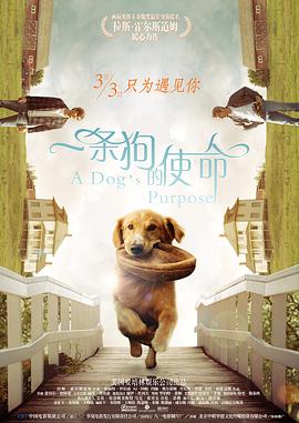 七色堂