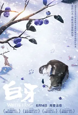 阿飞的上司