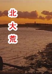 91最新视频