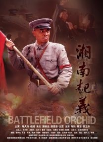 国产在线视频导航