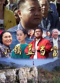 国内精品久久久久久久星辰影视