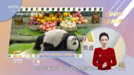 免费国产成版人视频直播